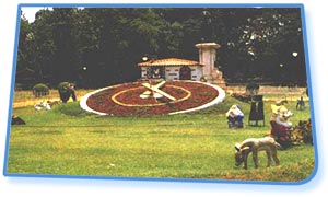 Lalbagh Garden - Bangalore